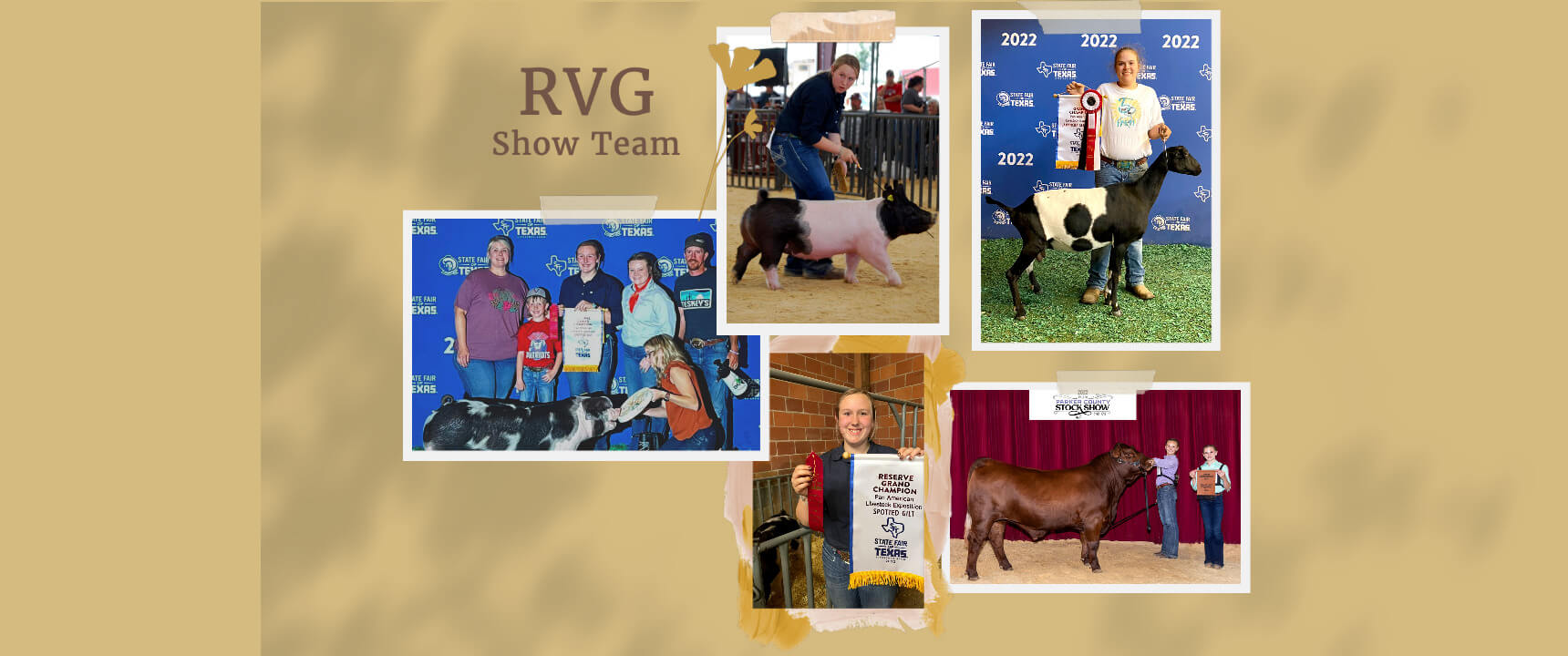 show_team_web_banner