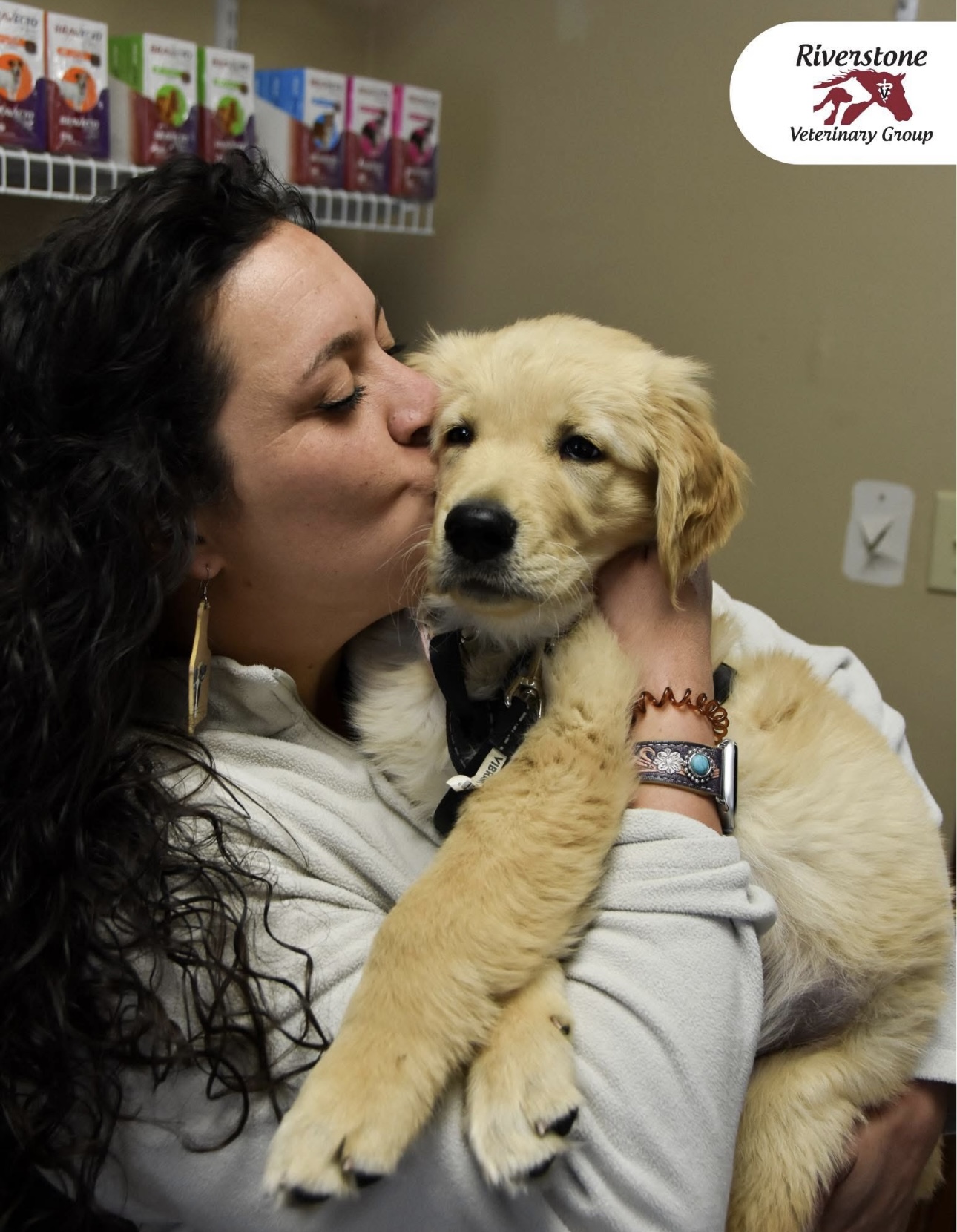 Puppy with team member