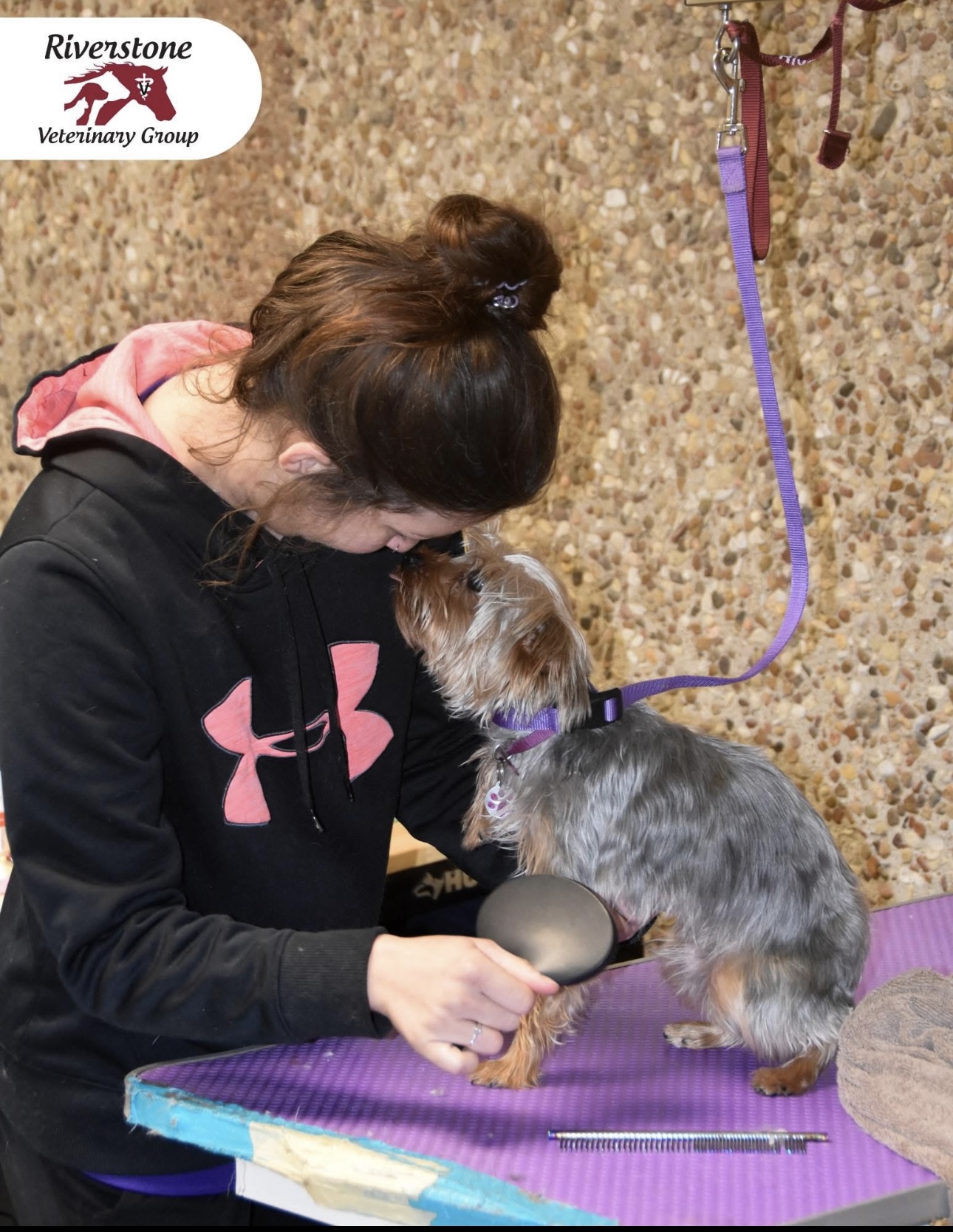 Groomer with Yorkie