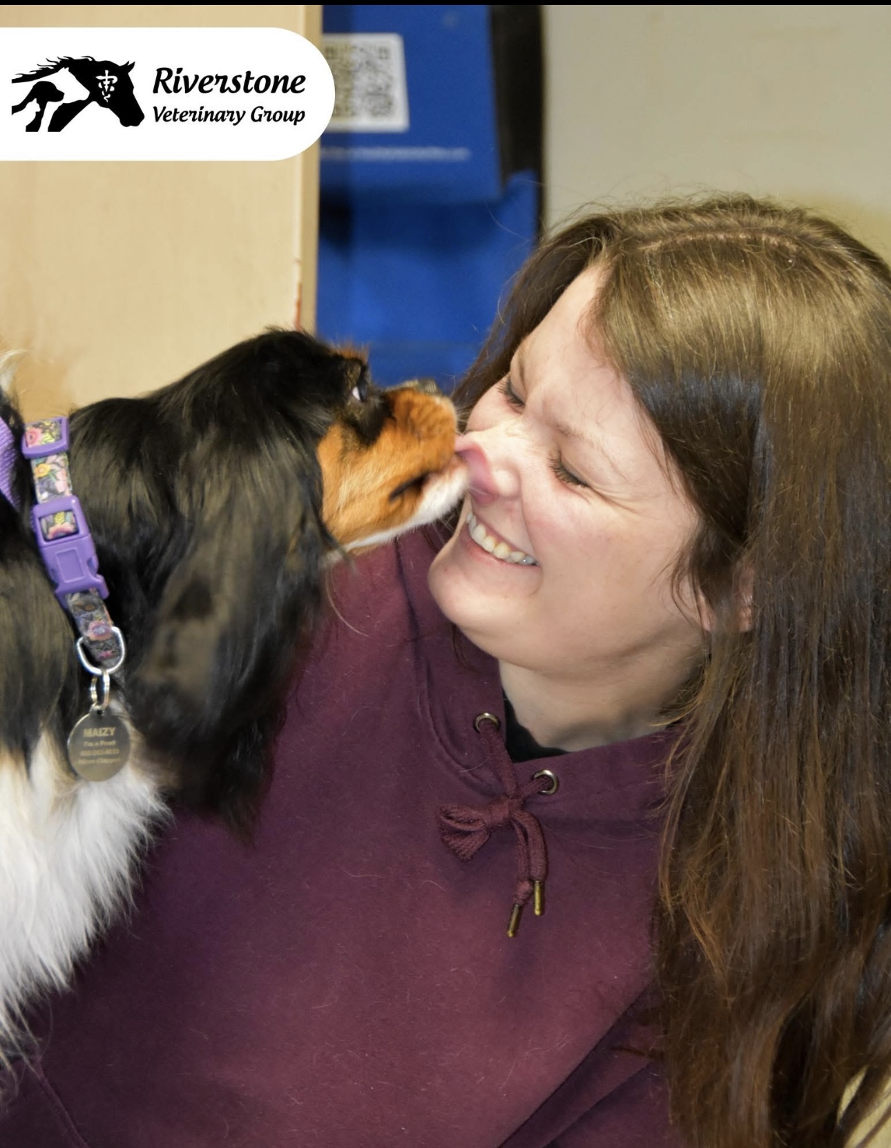 Groomer and Cavalier