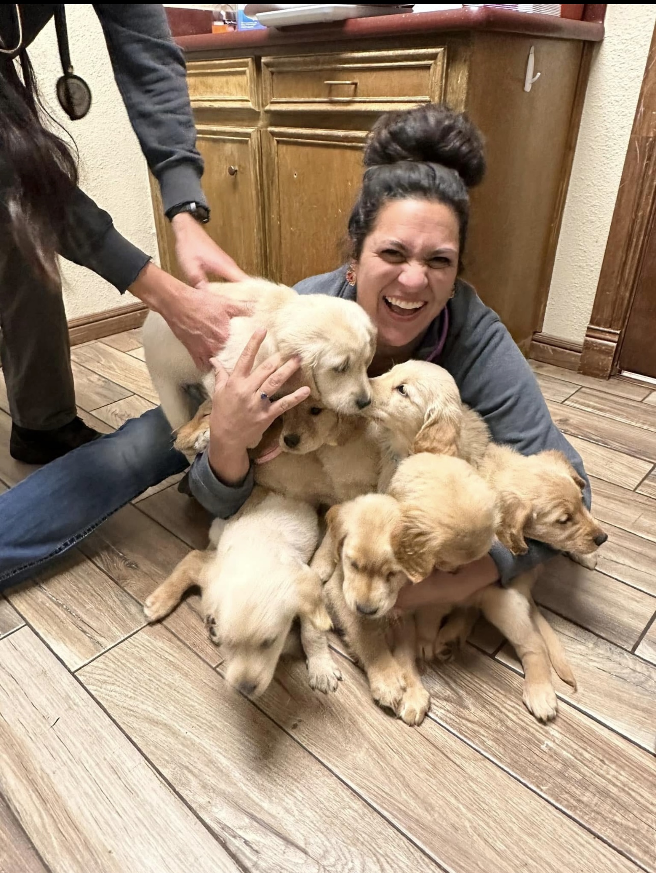 Puppy Pile