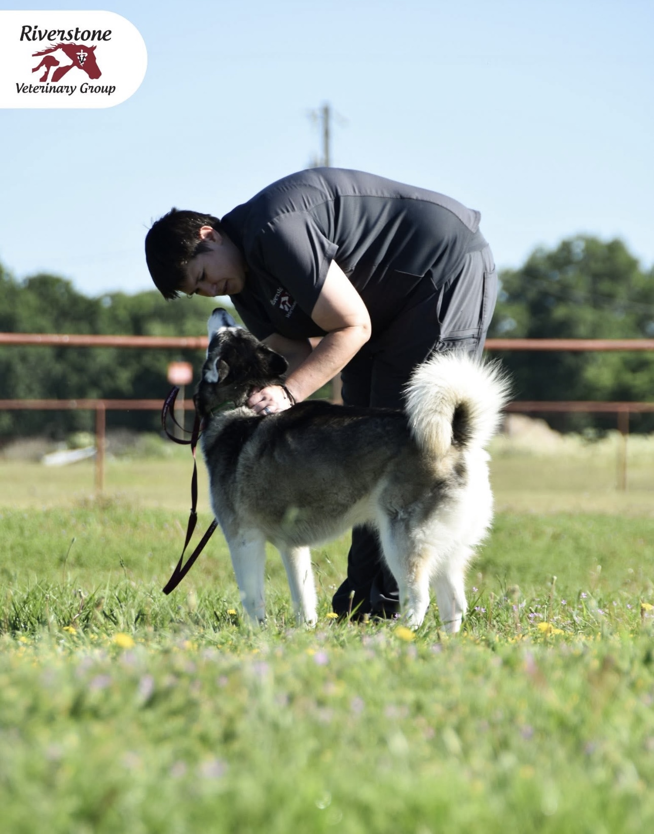 Team member with Husky