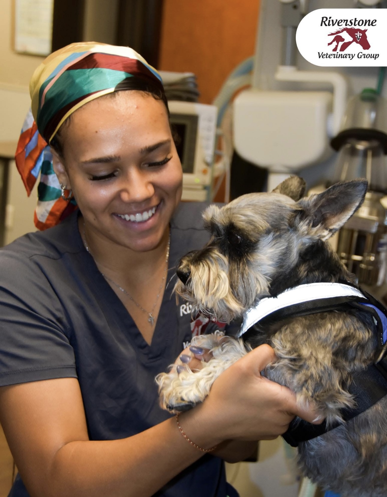 Team member with schnauzer