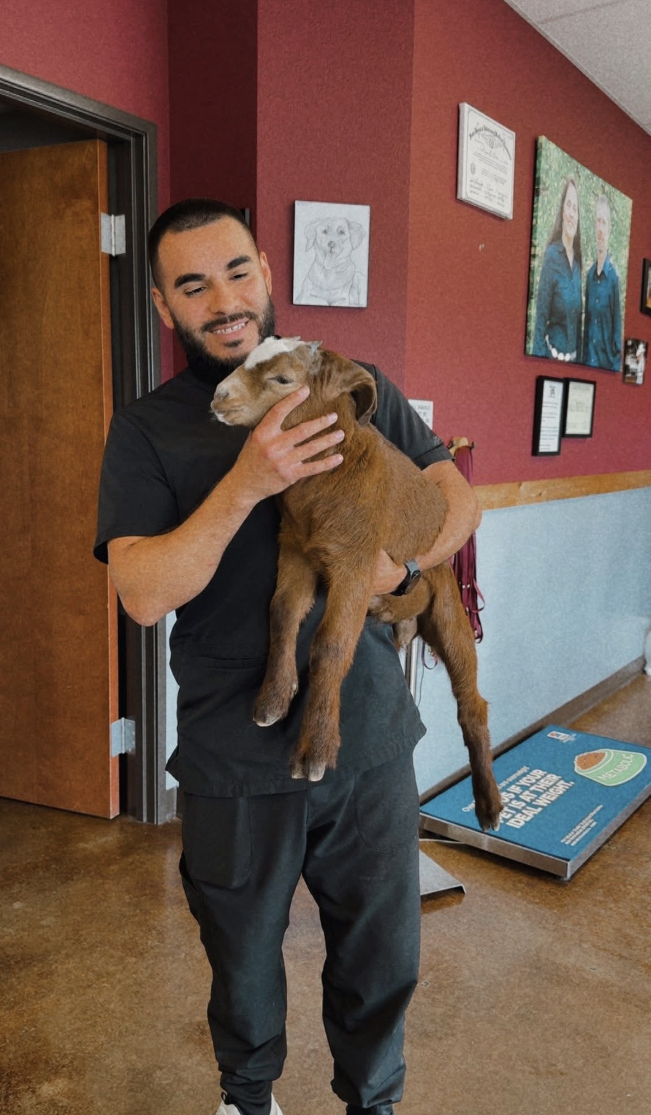 Team member with goat