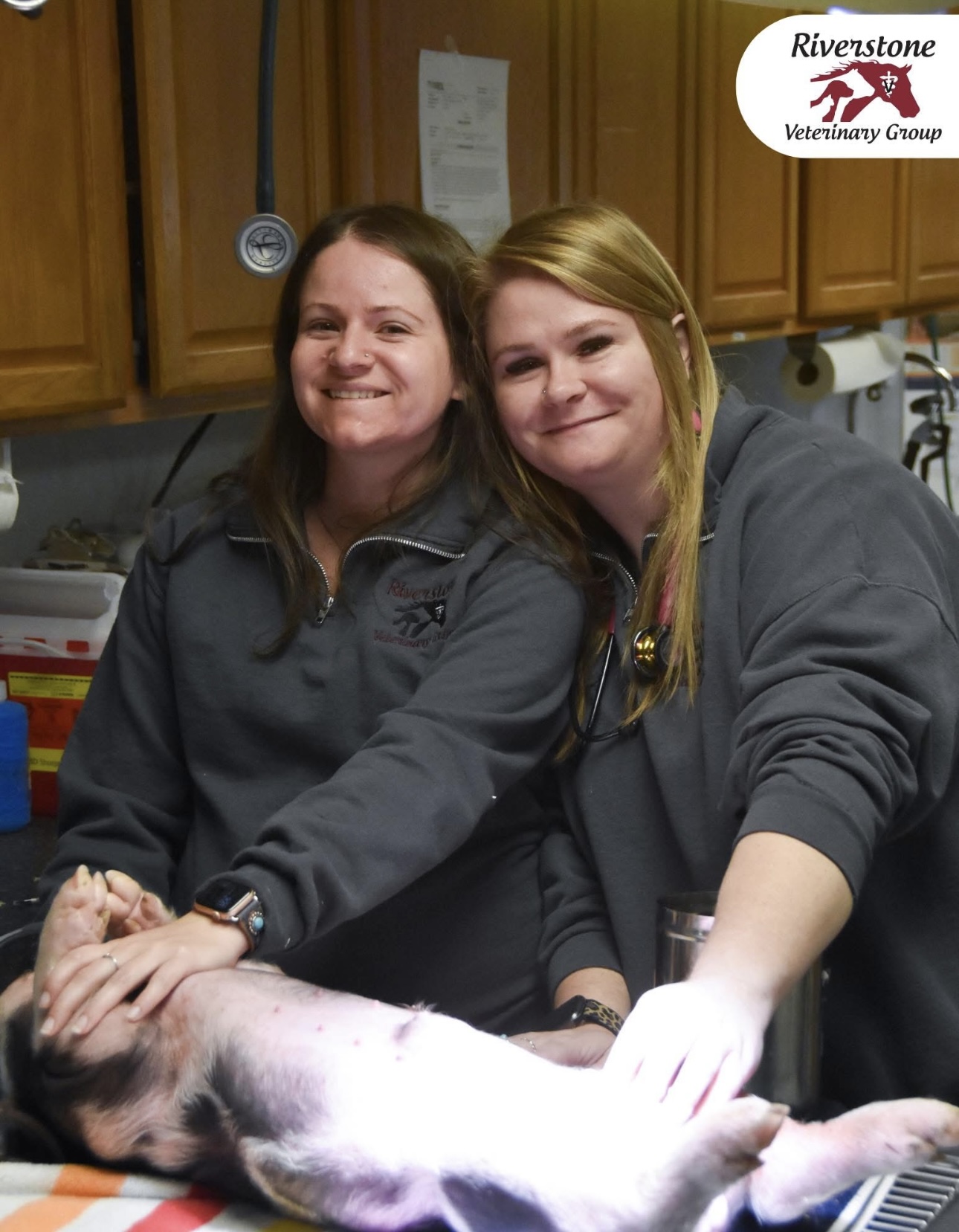 Team members with pig