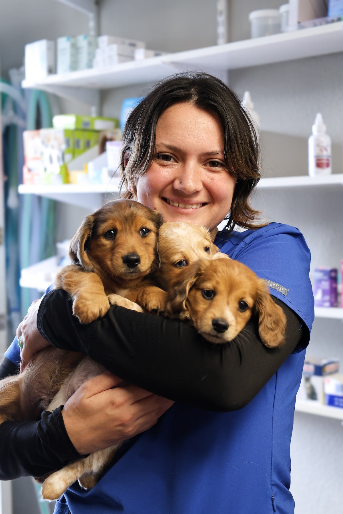 Staff with puppies