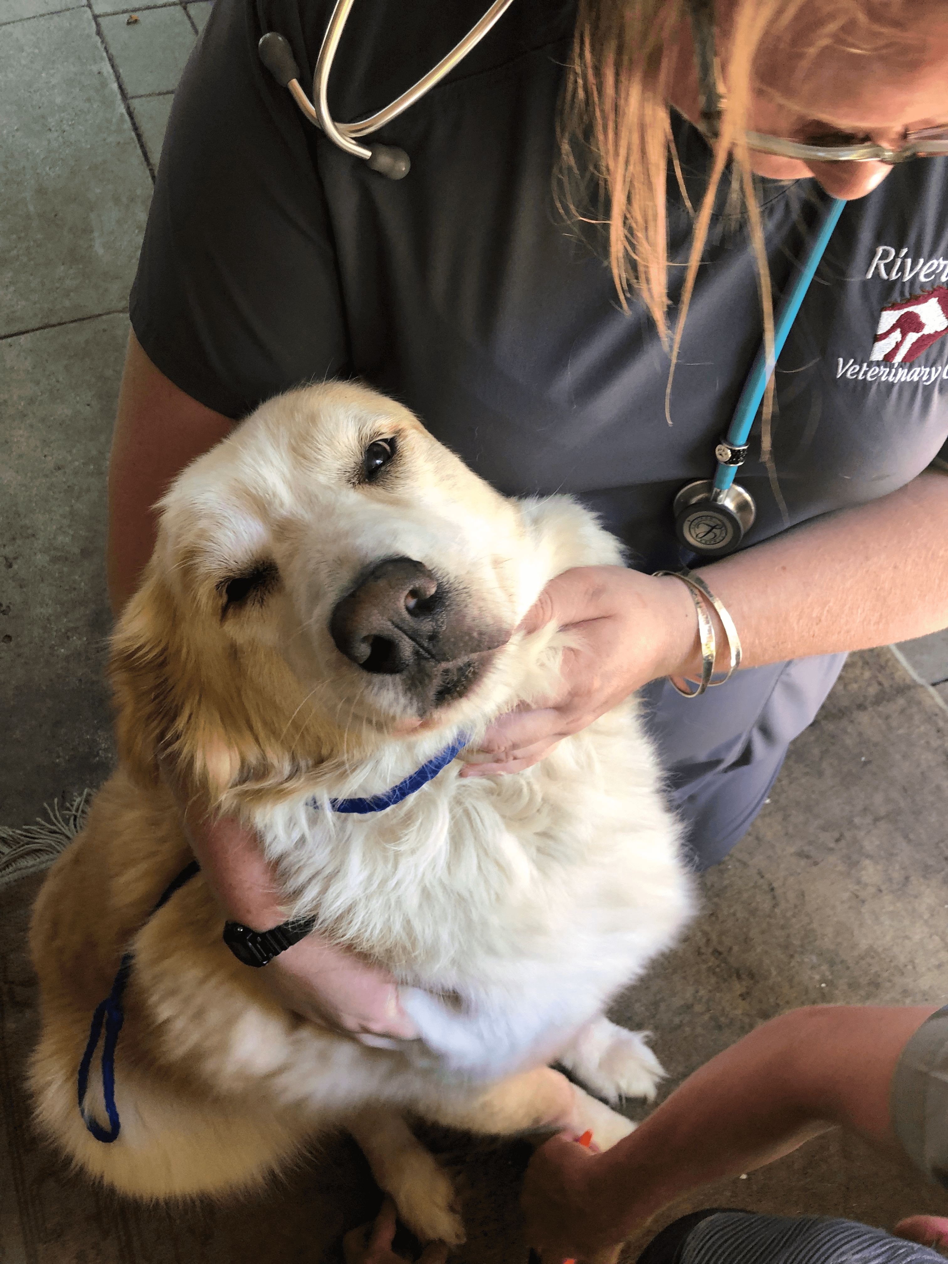 cute-pup-gets-pedicure