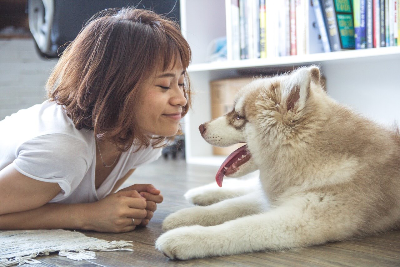 dog-happy