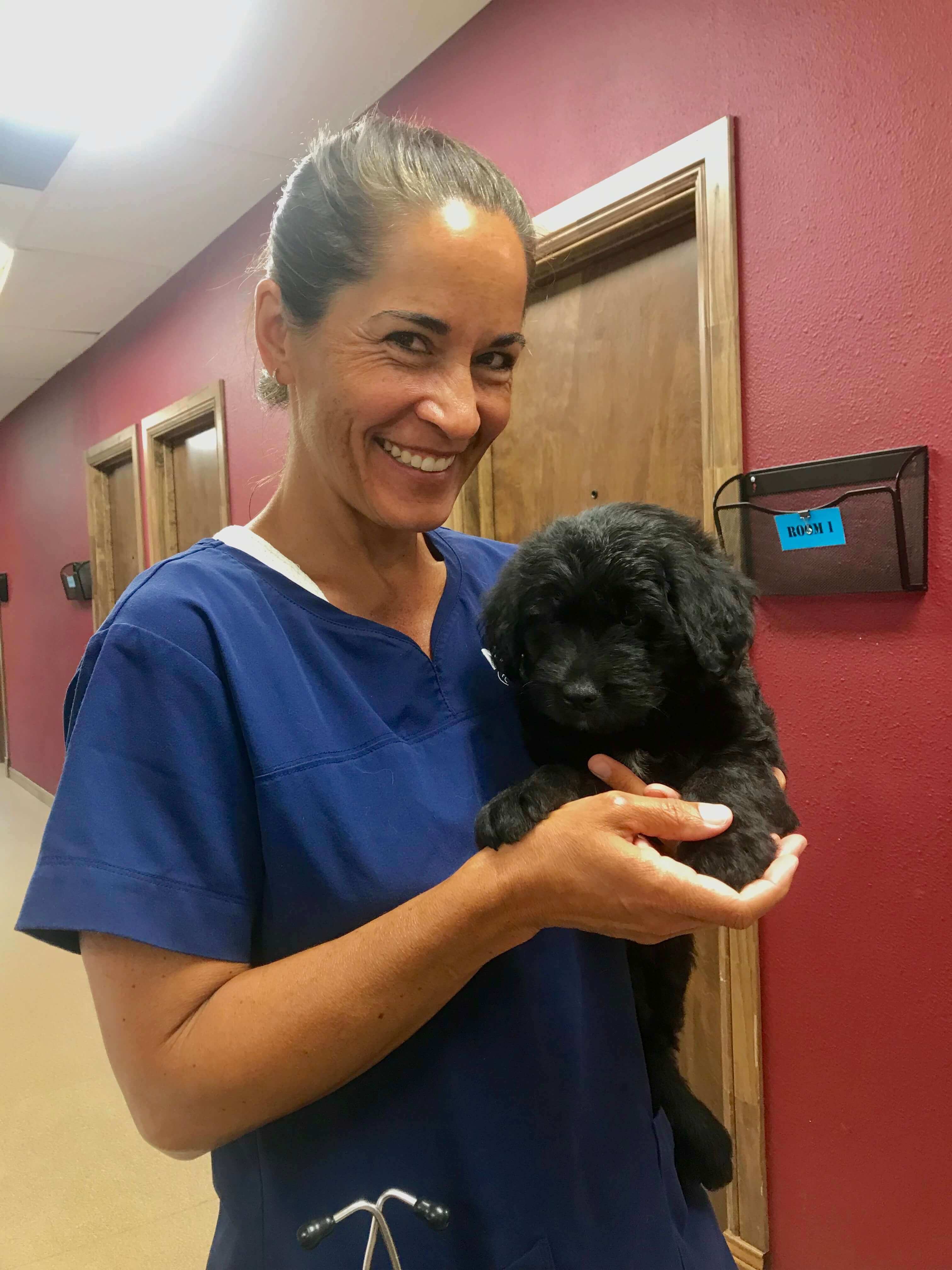 Dr. Ritthaler sure is Paw-some! | Riverstone Veterinary Group