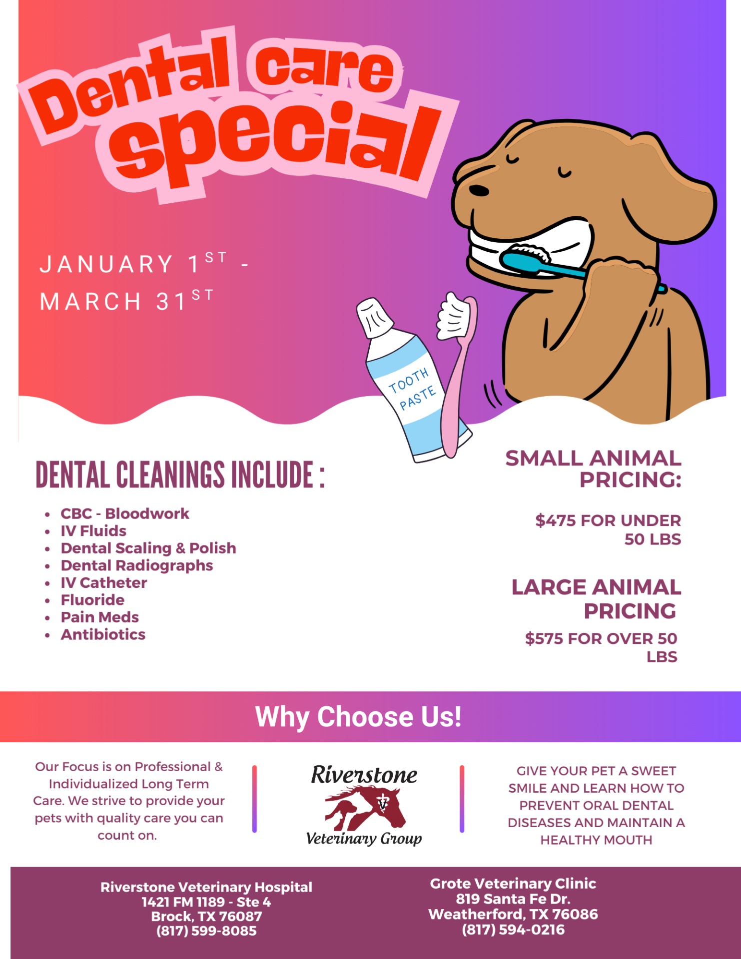 Dental Care Promotion 