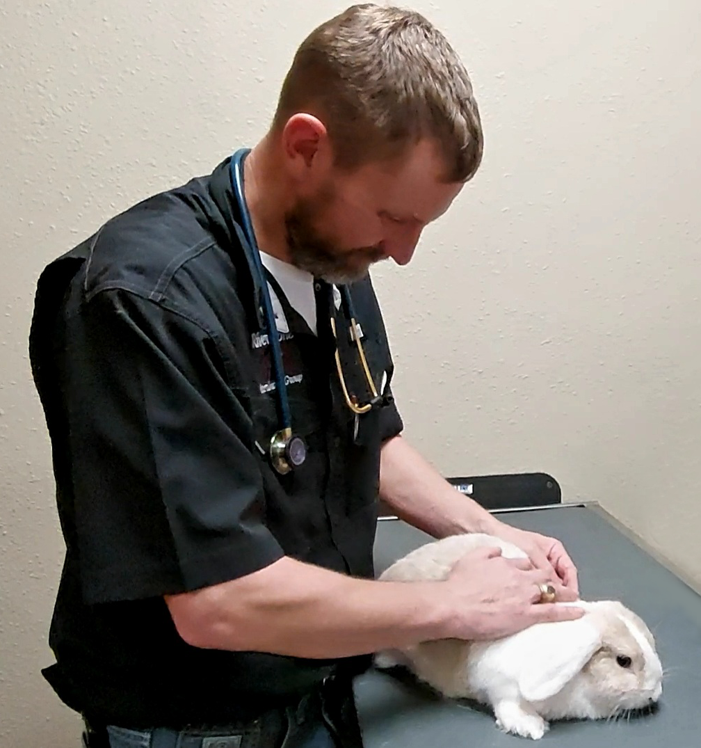 Dr. Cate with rabbit