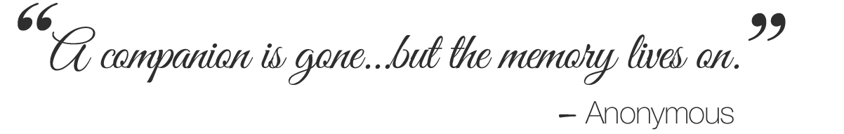 A companion is gone but the memory lives on.