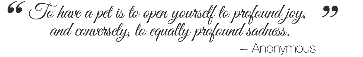 To have a pet is to open yourself to profound joy, and to equally profound sadness.