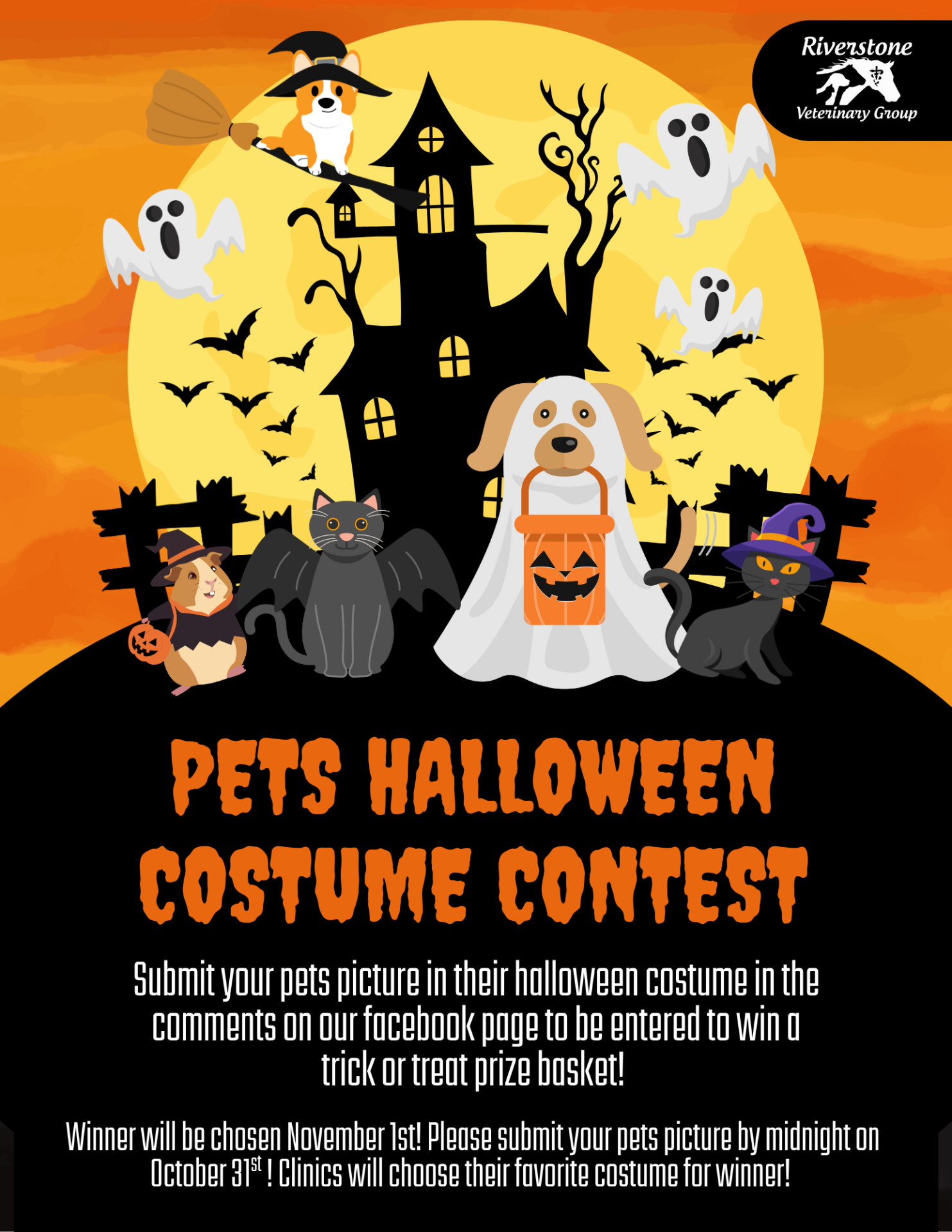 Costume Contest