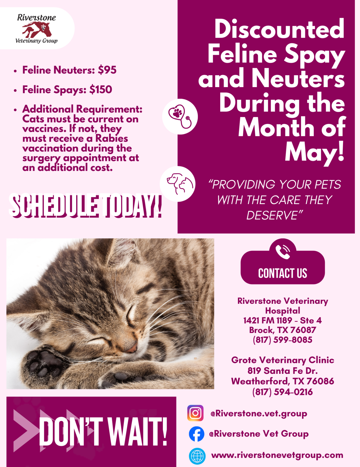 Discount Spay and Neuter 