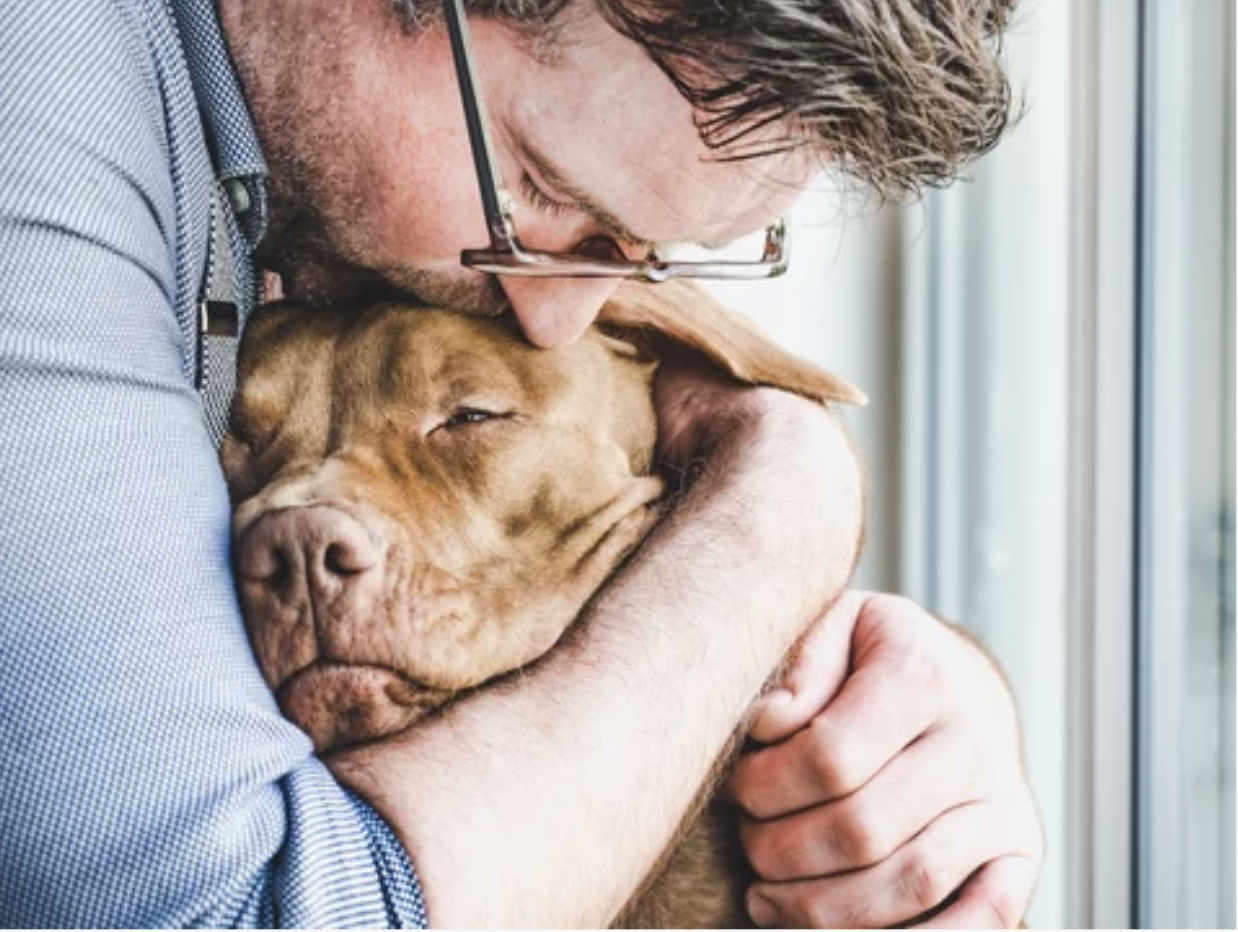 owner hugging dog