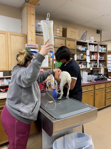 Maddie and Rafael Give SQ Fluids