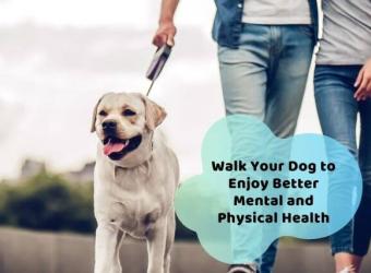 Walk Your Pet This Month And Every Month