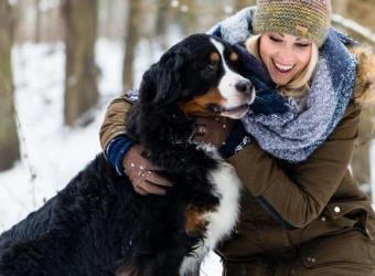 Cold Weather Exercise Tips to Keep Your Dog From Gaining the Frosty 15