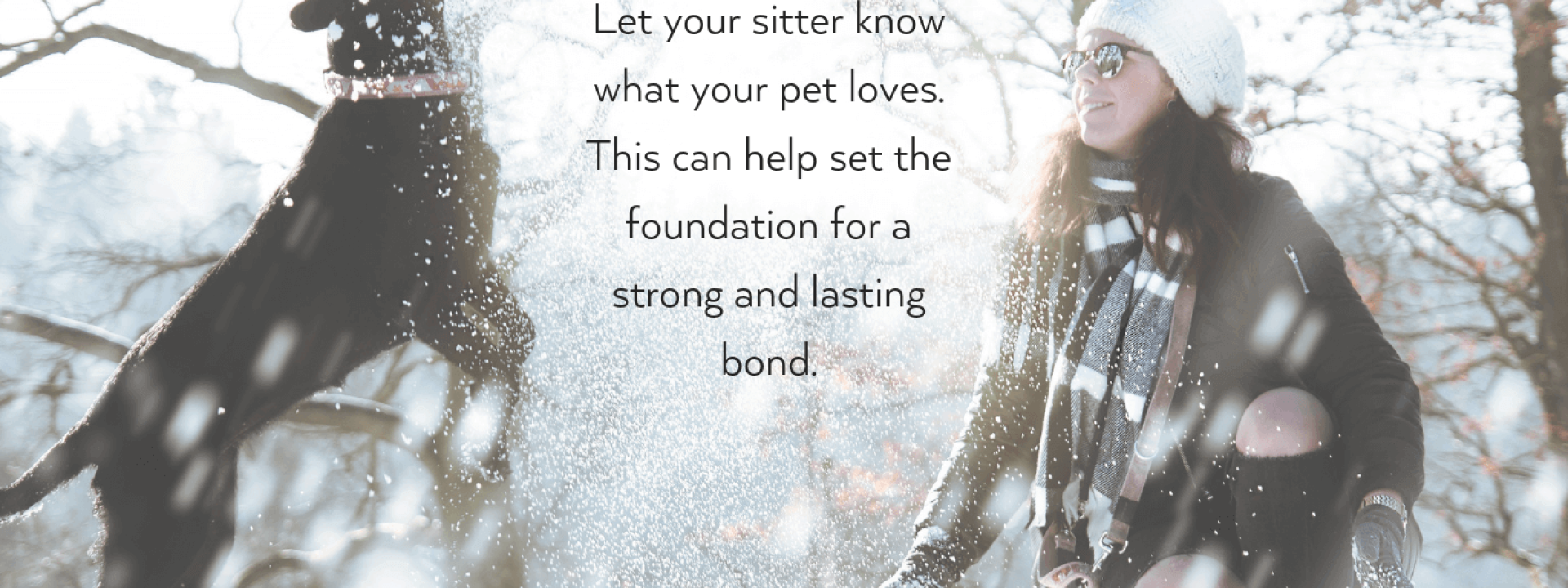 pet-sitter-blog