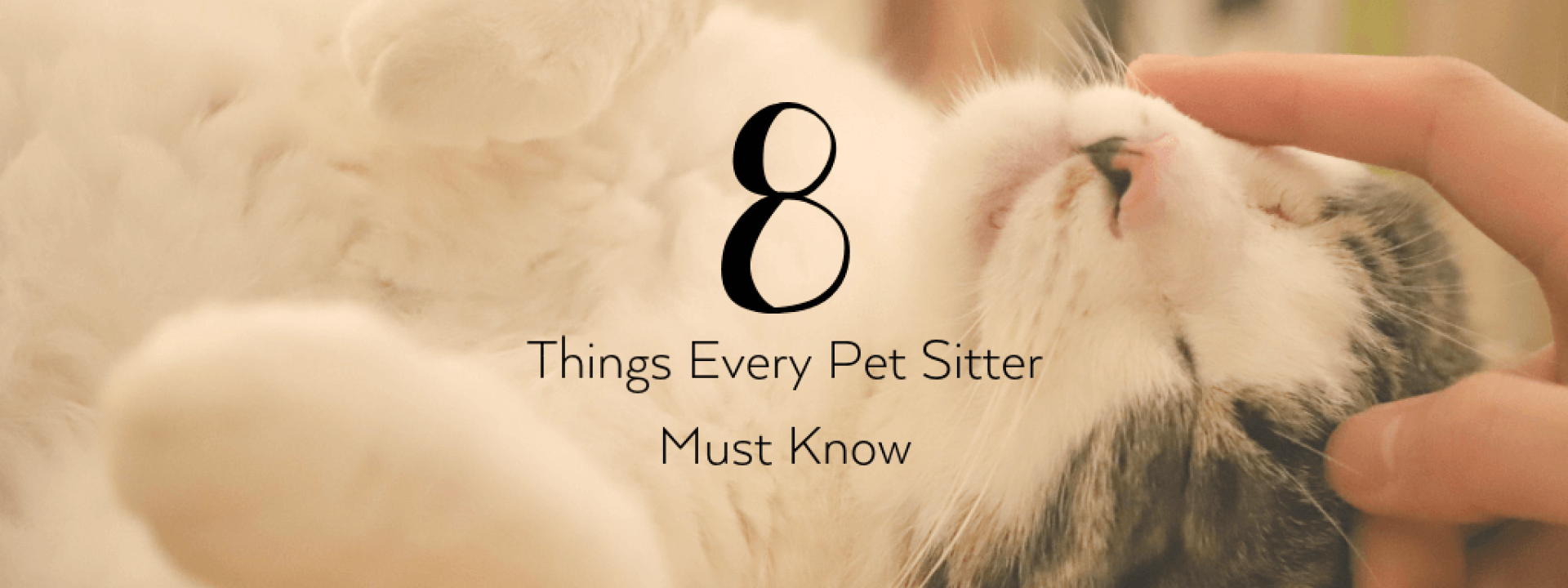 Pet-sitter-blog-header.png