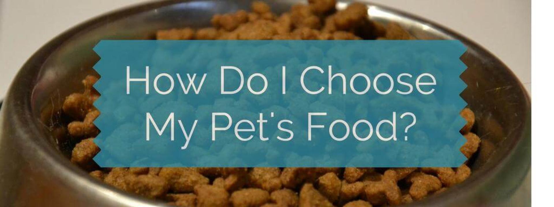 how-to-choose-the-right-dog-food
