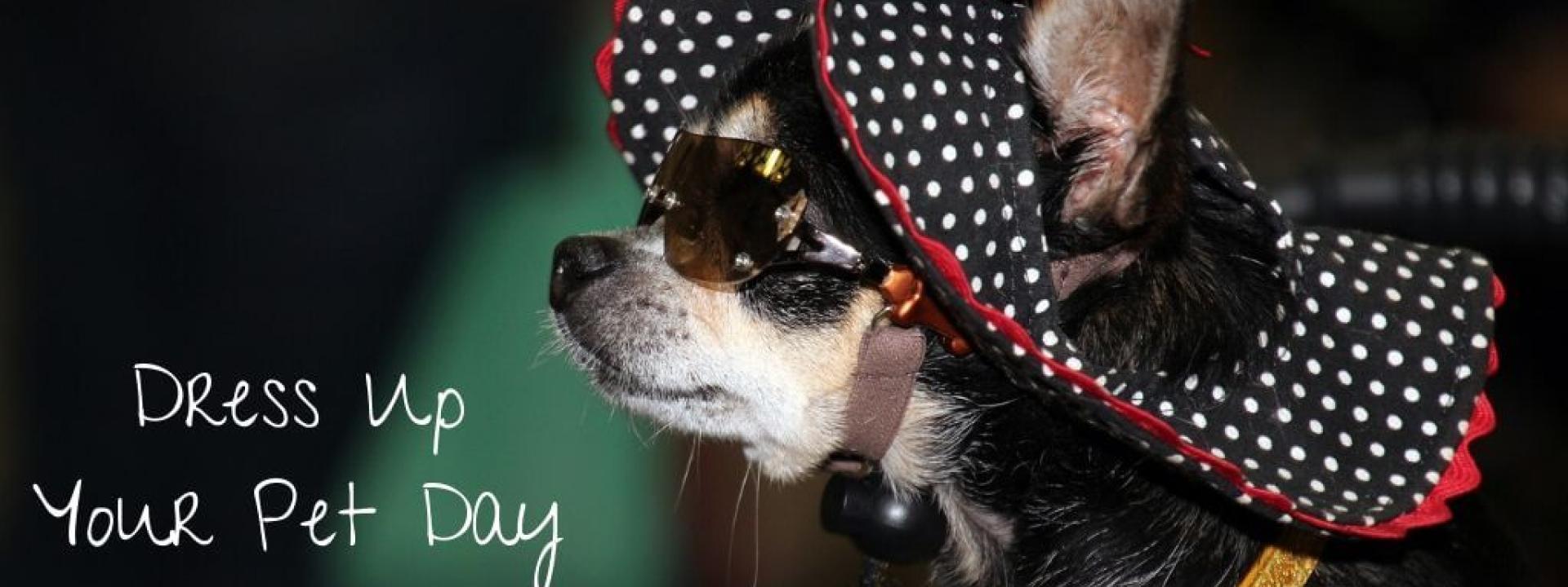 dress-up-your-pet-day-blog-header.jpg