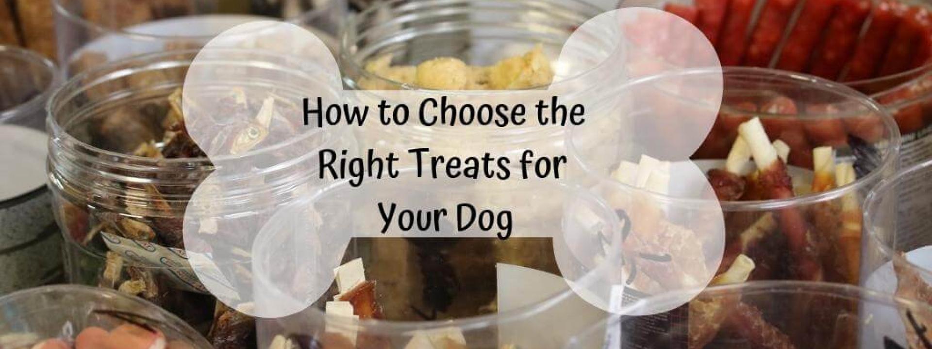 how-to-choose-dog-treats