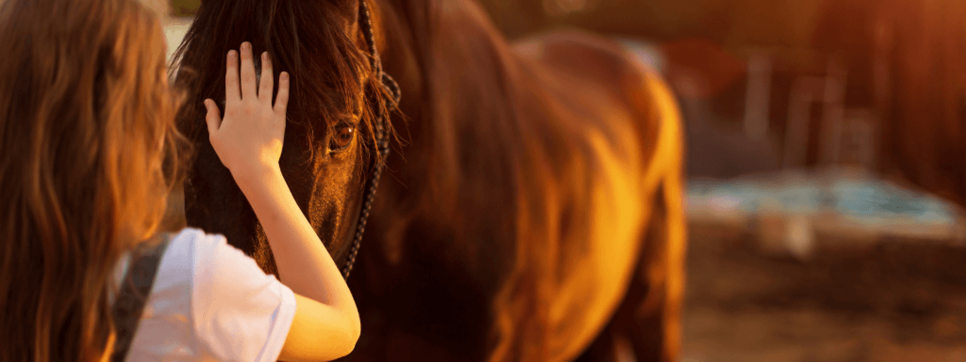 Young blonde girl stroking a brown horse.