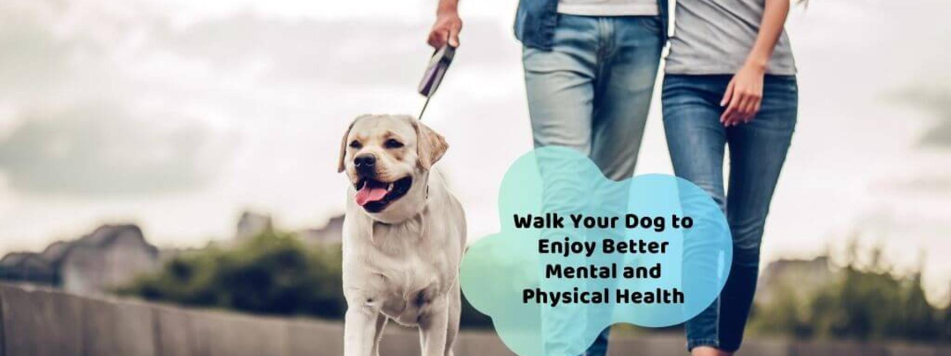 walk-dog-better-physical-mental-health.jpg