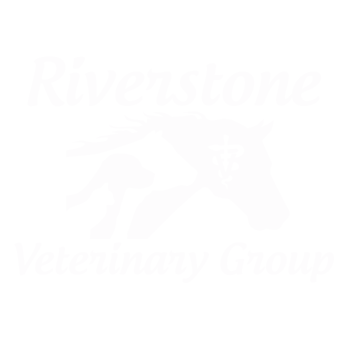 Riverstone Veterinary Group